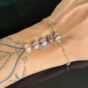 May include: A delicate gold chain bracelet adorned with six small, natural seashells. The shells are white, brown, and tan, with unique patterns. The bracelet is worn on a wrist, showcasing the jewelry's design and craftsmanship.