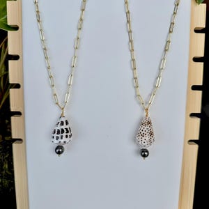 Hawaiian Shell Necklace on Heavy Luxurious 14k Gold Filled Chain