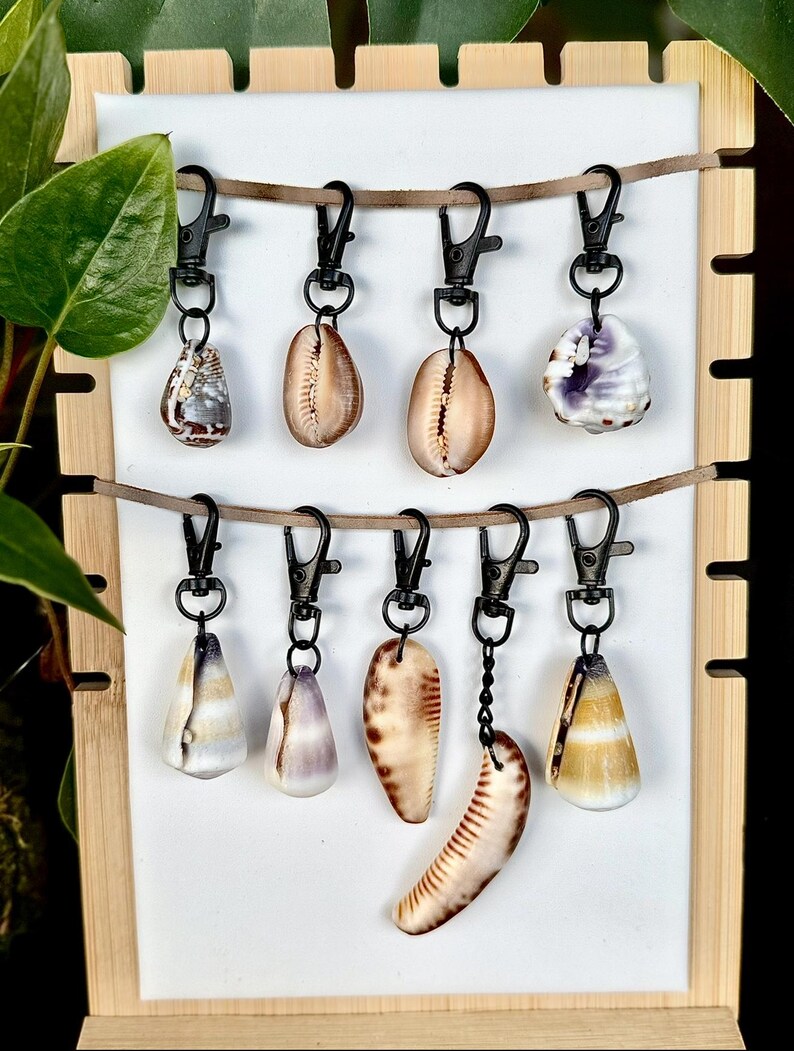 Shell Keychians Handmade Hawaiian Shell Keychain: Beach Lover Gift - Etsy