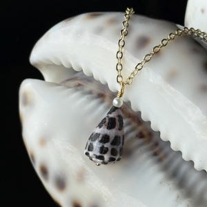 May include: A gold chain necklace with a pendant made from a small, cone-shaped seashell. The shell is white with dark brown spots. A small white pearl is attached to the chain above the shell pendant. The necklace is displayed on a large, white seashell.