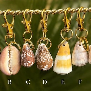 May include: Seven distinct seashells are attached to individual gold-toned metal lobster claw clasps, arranged in a row and labeled A through G. Each shell features unique natural patterns, textures, and colors, ranging from dark brown to cream.