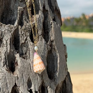 Rare Shell Necklace - 14k Gold Filled