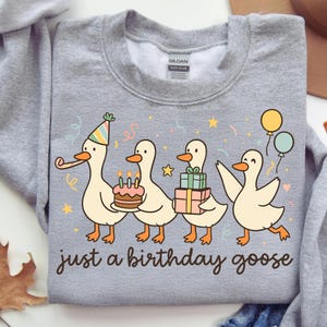 May include: A gray sweatshirt featuring a whimsical illustration of four cartoon geese celebrating a birthday. One goose wears a party hat and carries a party horn, while another carries a cake. The text "just a birthday goose" is below the geese.