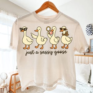 Ganso atrevido PNG, diseño de sublimación de ganso divertido, pato retro con gafas de sol PNG, diseño de camiseta atrevida, clipart de ganso femenino para sublimación imagen 5