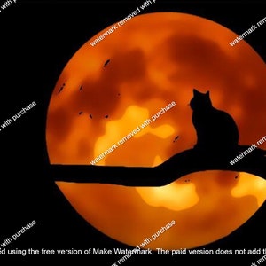 Sublimation JPG  downloadable digital image file Halloween Moon Cat