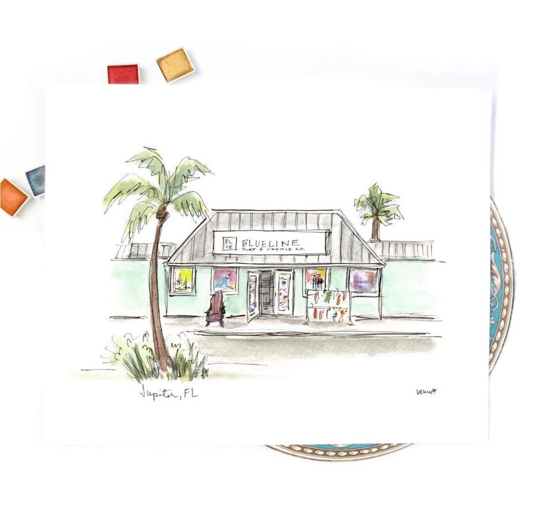 Blueline sales surf shop