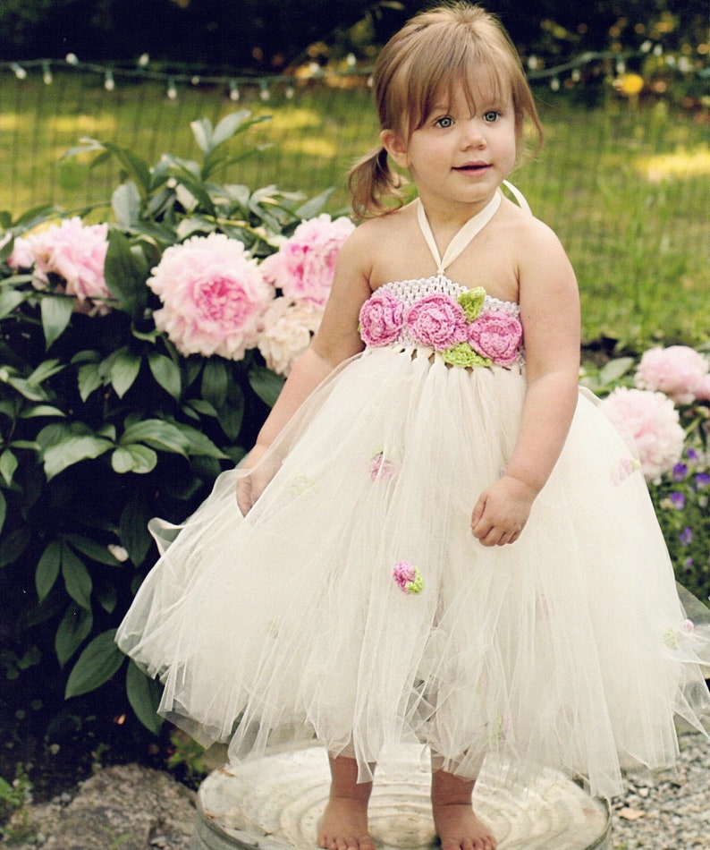 SBC 020 Princess Rose Tulle Dress image 3