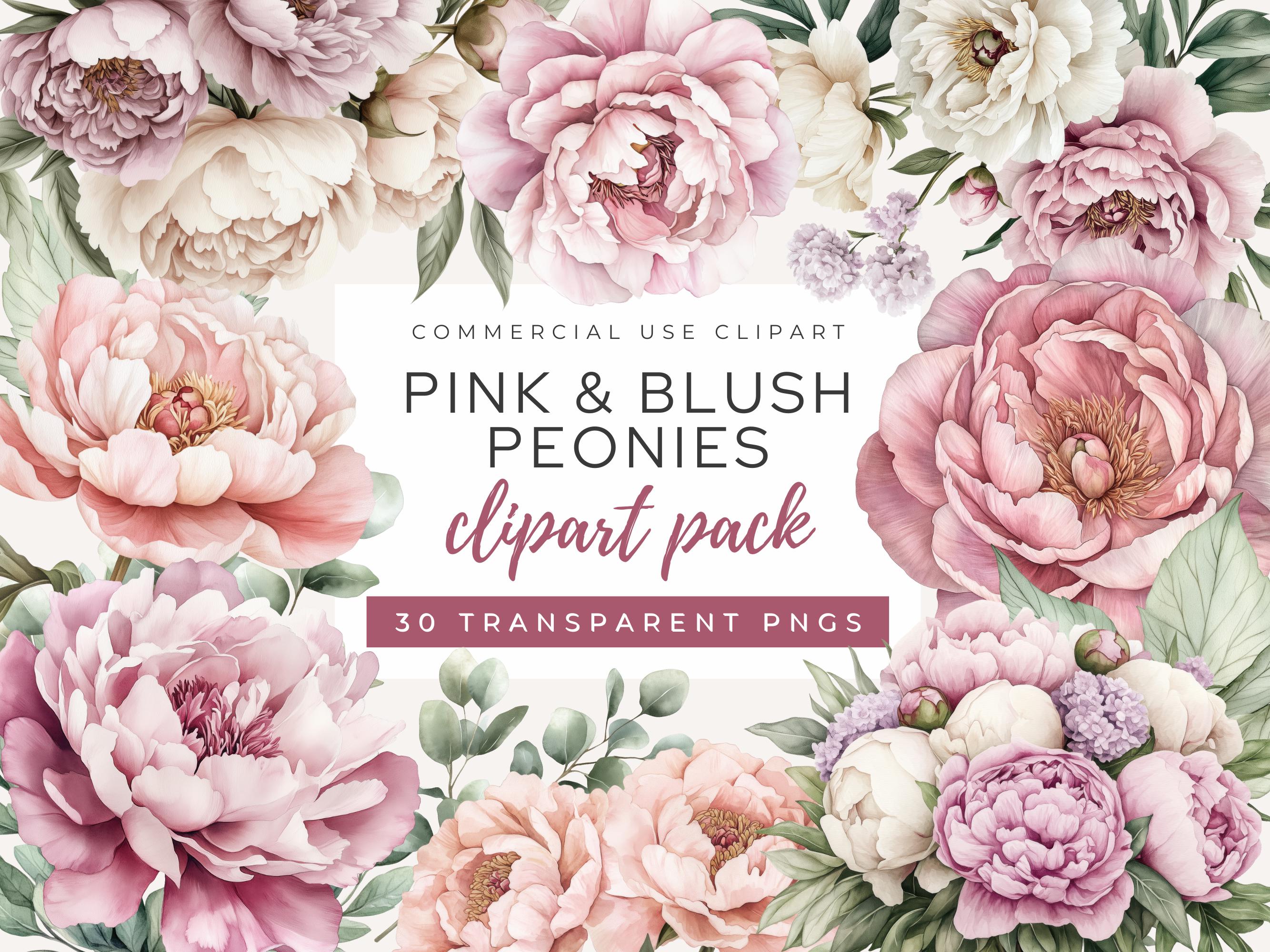 Pink & Blush Peony Clipart Pack, Watercolor Floral Elements, Wedding ...