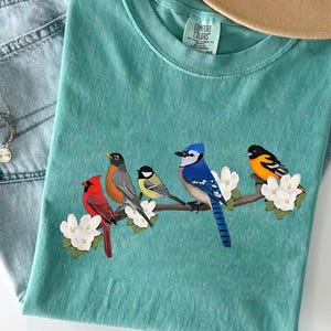 Colorful Songbirds on Branch PNG - Spring Birds Clipart Sublimation Design Featuring Cardinal, Robin, Chickadee, Blue Jay, and Oriole