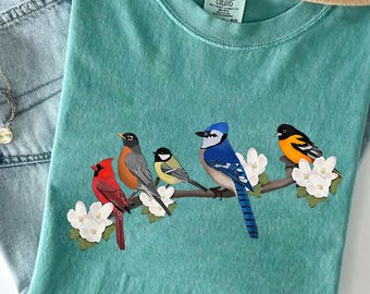 Colorful Songbirds PNG: Spring Bird Clipart (Digital Download)