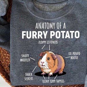 Pode incluir: Camisola cinza escuro com o texto "ANATOMY OF A FURRY POTATO" e um desenho de um porquinho-da-índia. O design inclui etiquetas como "Sniffy Whiffler" e "Teeny Tippy Tappies".
