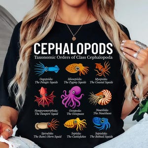 May include: Black t-shirt featuring a colorful graphic of various cephalopods, including squids, octopuses, and nautiluses. The text "CEPHALOPODS" is displayed above the illustrations, with taxonomic order names below each image. A science-themed design.