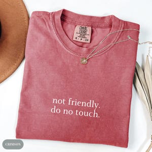 Comfort Colors® Not Friendly Do Not Touch Shirt, Sarcastic Shirt, Funny Humor Shirt, Adult Humor Shirt, Sarcasm Shirt, Funny Trendy Shirt