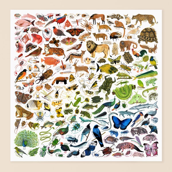 Rainbow of Animals print