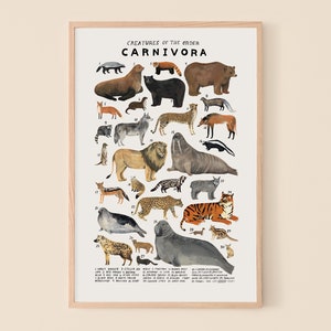 Carnivora: Lions, Tigers, Bears...
