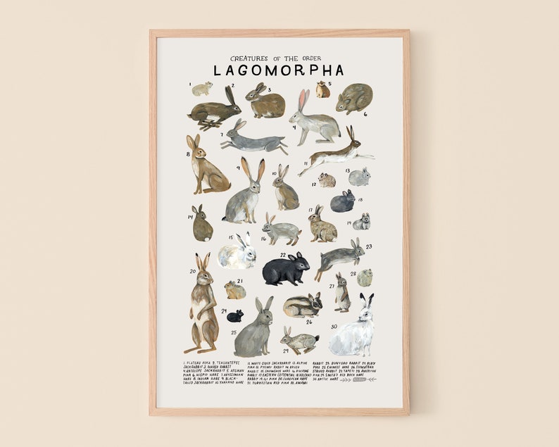 Lagomorpha: Rabbits, Hares, Pikas... 12 x 18 Inches inches