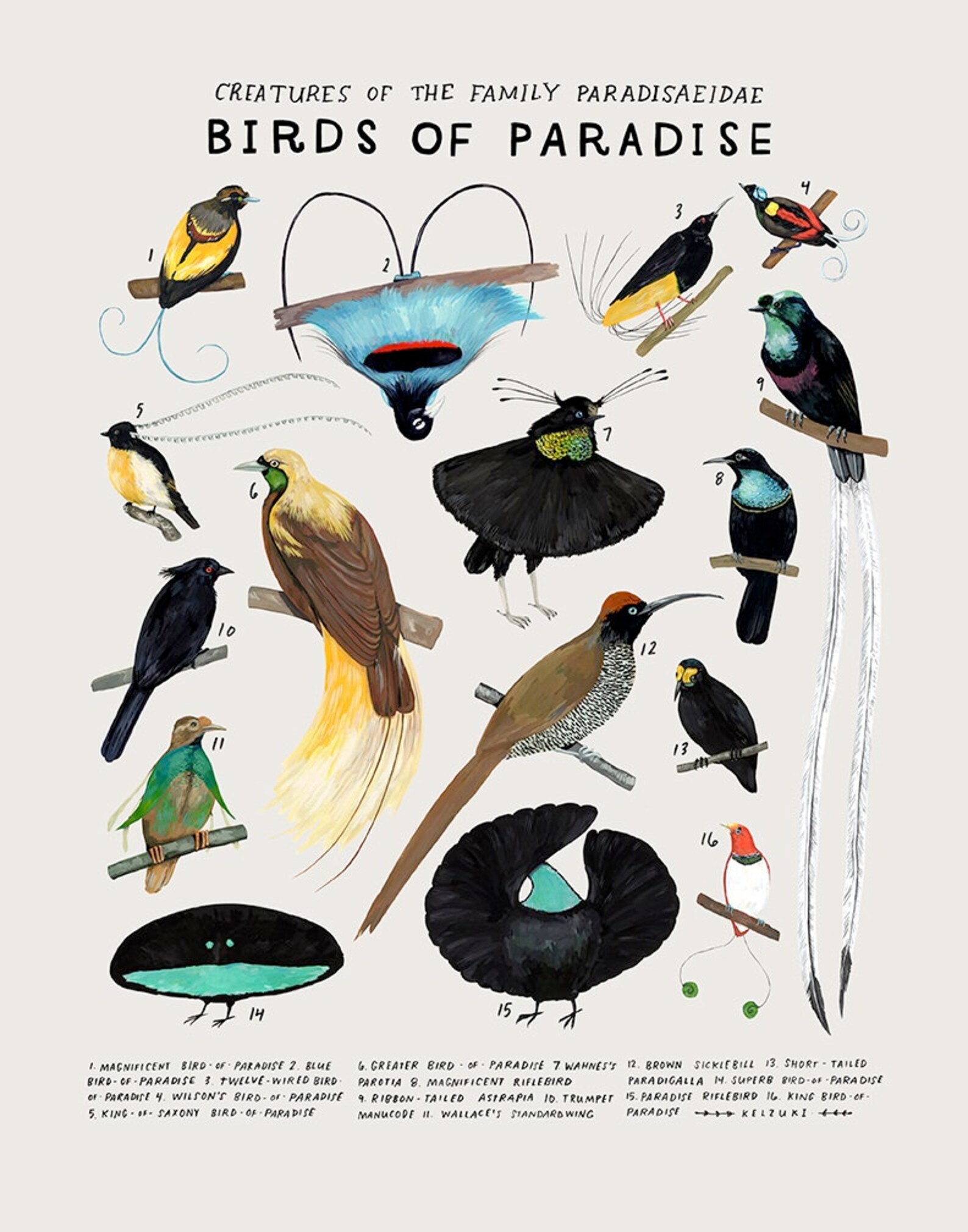 Birds of Paradise Etsy