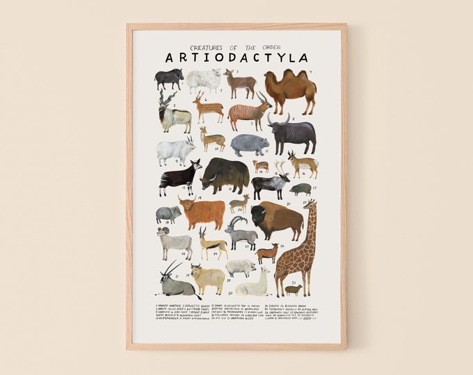 Artiodactyla: Buffalo, Goats, Pigs...