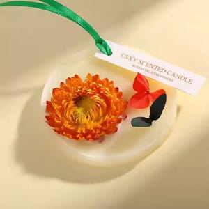 SoyWax Sachet Air Freshener, Handmade Aromatherapy, Eco Friendly Décor, Wax Melt Decoration, Car, Closet, Wardrobe Freshener, Wedding Favors