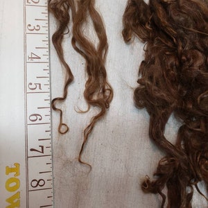 Suri Alpaca Locks, 7&quot;Rose Grey Suri Locks, Doll Hair, Wig Making, Tail Spinning, Suri Alpaca Fiber, Washed Fiber, 2 oz, Ember7