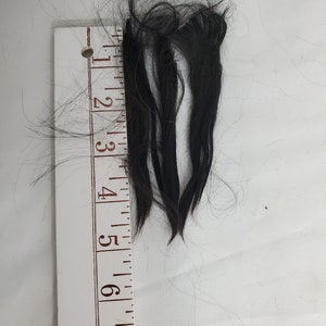 May include: A close-up of black hair strands measured against a white ruler with black markings. The hair strands are approximately 4 inches long.