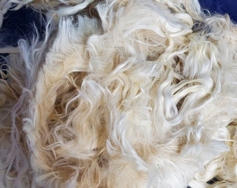 Suri Alpaca Locks, 5" Natural White Unwashed Locks,  Alpaca, Doll Hair,  Long Locks, 2oz, 2301