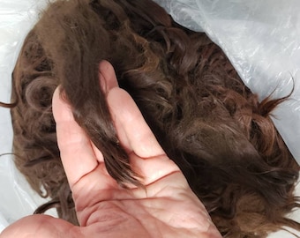 Mechones de alpaca suri color caoba: fibra marrón natural de 10 cm para cabello de muñecas y pelucas (57 g) Bull