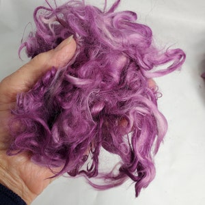 Könnte beinhalten: Nahaufnahme von einer Handvoll violetter Wollroving. Die Wolle hat tiefe violette und hellere Lavendeltöne und eine lockige Textur. Geeignet für verschiedene Handarbeiten wie Spinnen, Filzen oder Weben.