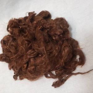 Suri Alpaca Locks, Brown Suri Locks, Doll Hair, Tail Spinning, Lock Spinning, 4&quot; Washed Suri Locks, 2oz, P4W