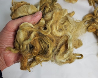 Suri Alpaca Locks, 5" Olive Locks,  Doll Hair, Lock Spinning, Gold Locks, Tail Spinning, 2oz