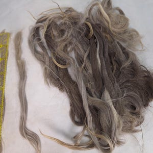 May include: A collection of loose, wavy hair fibers in shades of brown, gray, and blonde, arranged in a tangled cluster next to a yellow measuring tape that shows a length of approximately 9 inches for a single strand of the hair fiber.