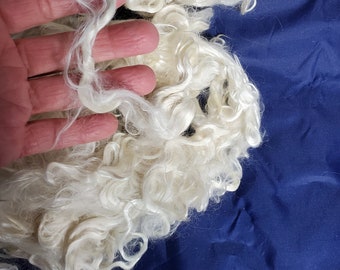 Suri Alpaca Locks, 6" Natural White Washed Locks, White Doll Hair, Washed Suri Alpaca Locks, Wig Making, Art Supplies, 2 oz Boomer