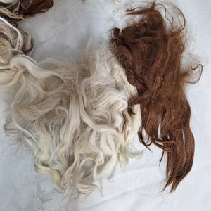 Puede incluir: Una colección de cabello crudo sin procesar en varios tonos. La imagen muestra secciones de cabello rubio claro, blanco roto y marrón oscuro, mostrando las variaciones naturales de color. El cabello parece suelto y sin peinar, posiblemente para la elaboración o procesamiento.