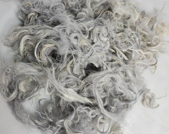 Suri Alpaca Locks, 4" Silver Grey Locks,  Doll Hair, Lock Spinning, Tail Spinning, Fiber Arts, 2oz, Silver Boomer