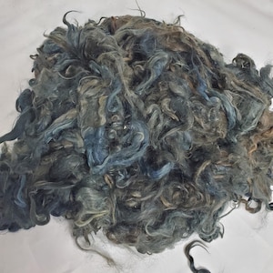 Suri Alpaca Locks, 4&quot; Blue Locks, Hand Dyed Suri Locks, Doll Hair, Wig Making, 2oz, Fiber Arts, Fiona Blue