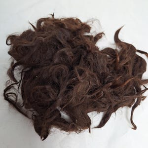 Suri Alpaca Locks, 4&quot; Natural Rich Brown Locks, Mahogany Suri Locks, Doll Hair, Washed locks, Wig Making,2oz, Fiber Arts, Bull445 Washed