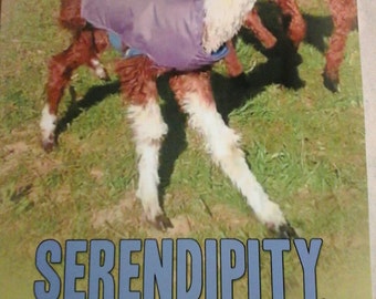 Children's Book, Serendipity the Three Legged Alpaca, Inspirational and Educational Book, Enjoyed by All Ages, Full Color Photos