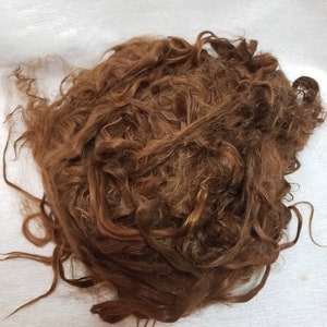 Suri Alpaca Locks, 12&quot; Natural Brown Locks, Unwashed Locks, Doll Hair, Lock Spinning, Tail Spinning , Stunning Locks, BR12
