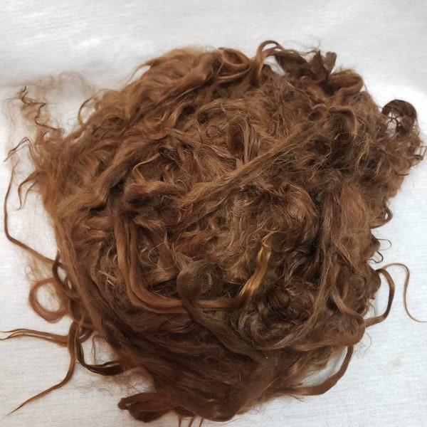 Suri Alpaca Locks, 12" Natural Brown Locks, Unwashed Locks, Doll Hair, Lock Spinning, Tail Spinning , Stunning Locks, BR12