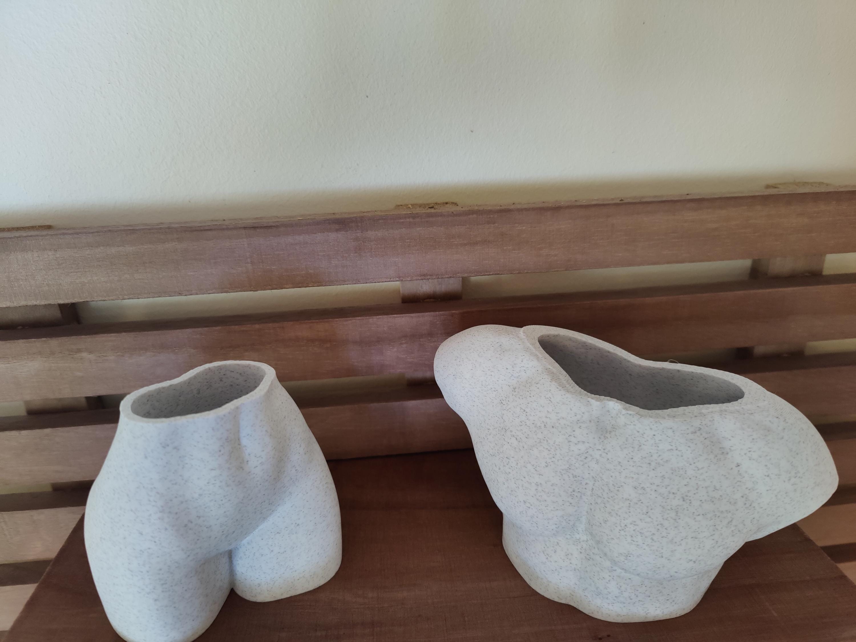 Statue and tiny succulent planter - Female and Male body sculpture