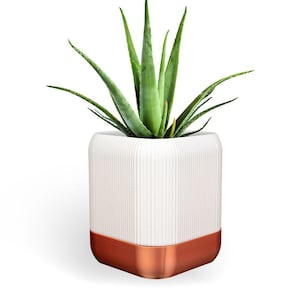 Transformando plantador de plantas de casa autoirrigável
