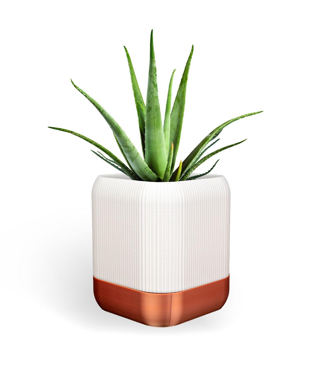 Self Watering Window Plant Holder - Etsy