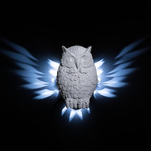 Owl night lamp. wall lamp. decorative owl light. Owl wall lamp