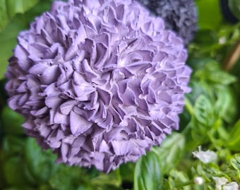 Allium Pflanzstecker Blumenstecker Zierlauch Gartenstecker unterschiedliche Farben