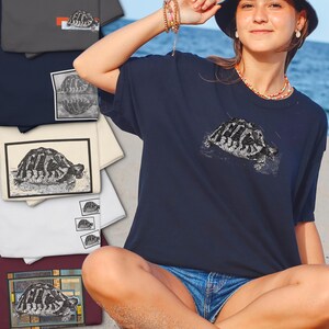 Pode incluir: Uma camiseta azul marinho com uma ilustração detalhada em preto e branco de uma tartaruga. Várias outras camisetas em várias cores, incluindo cinza e creme, são empilhadas atrás, cada uma com um design de tartaruga semelhante.