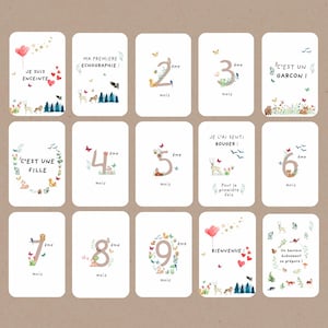 Cartes étapes grossesse, mois par mois avec létapes importantes du suivi, évolution grossesse, cadeau, souvenirs