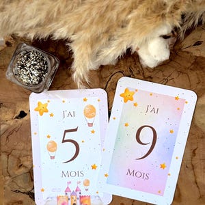 Cartes étapes bébé MONDE FÉERIQUE - première année - mois anniversaire - cadeau naissance original - souvenirs bébé - grossesse