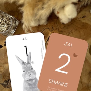 Cartes étapes bébé ANIMAUX NOIR & BLANC - Cartes recto verso pour premiere mois et première année  - cadeau naissance original - évolution