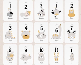 Cartes étapes bébé - Cartes étapes première année - évolution bébé,développement- recto verso - cadeau naissance - 1ere année, noir et blanc