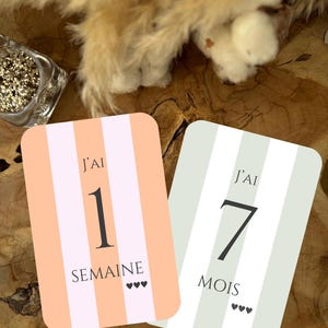 Peut inclure: Deux cartes rectangulaires à rayures. L'une a un fond à rayures pêche et blanc avec le texte "J'AI 1 SEMAINE" et trois cœurs. L'autre a un fond à rayures vert clair et blanc avec le texte "J'AI 7 MOIS" et trois cœurs.